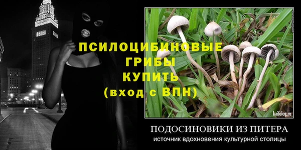 эйфоретик Алзамай