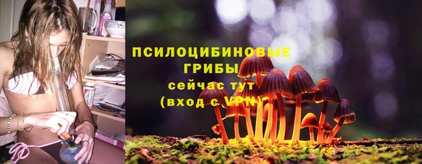 эйфоретик Алзамай