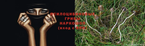 эйфоретик Алзамай