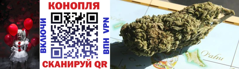 Каннабис план  закладки  Буй 